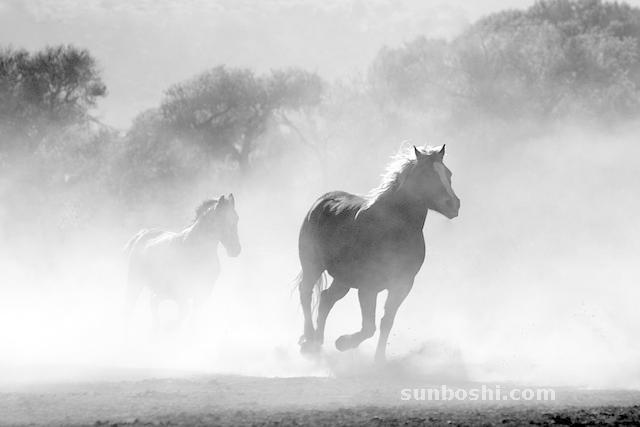 夢見抽煙-自己抽煙-朋友抽煙-在抽煙