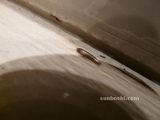 夢見尿床-小孩尿床-孩子尿床-別人尿床-自己尿床