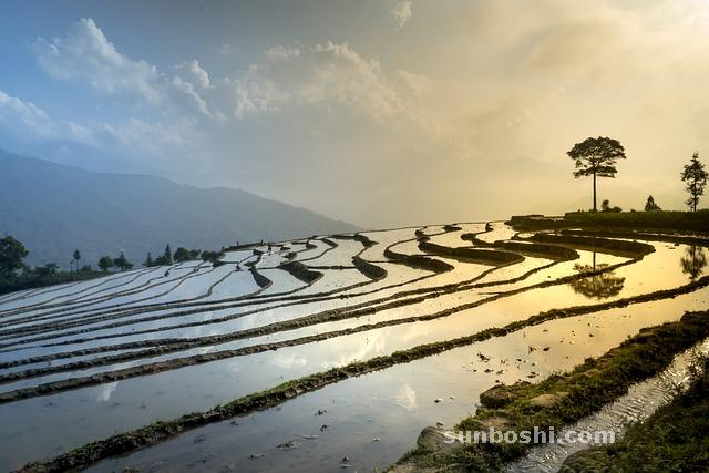 夢見梳子-梳子斷-梳子丟-梳子臟-女人梳子代表