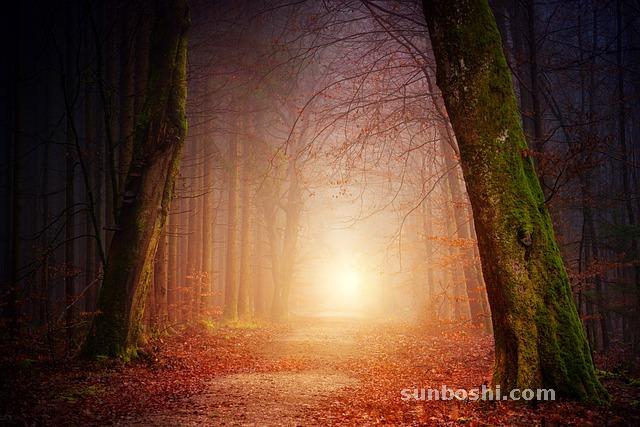 夢(mèng)見(jiàn)很多-蛇很多-很多錢(qián)-很多被-水很多