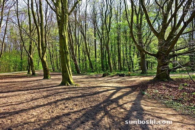 夢見已故-夢見已故父親