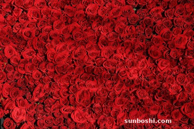 夢見放棺材-夢見家里停放棺材-夢見挖坑放棺材