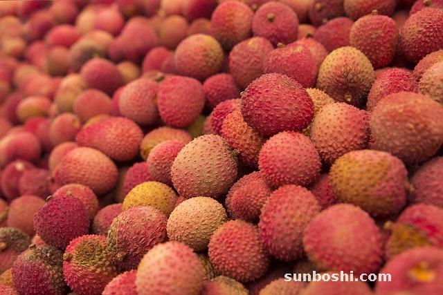 荔枝功效與作用及禁忌-荔枝核的功效與作用及禁忌-假荔枝的功效與作用