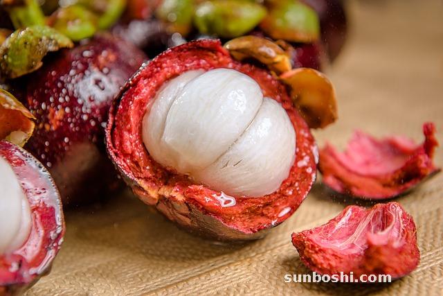 山竹的功效與作用-山竹子-山竹皮-野山竹-山竹殼