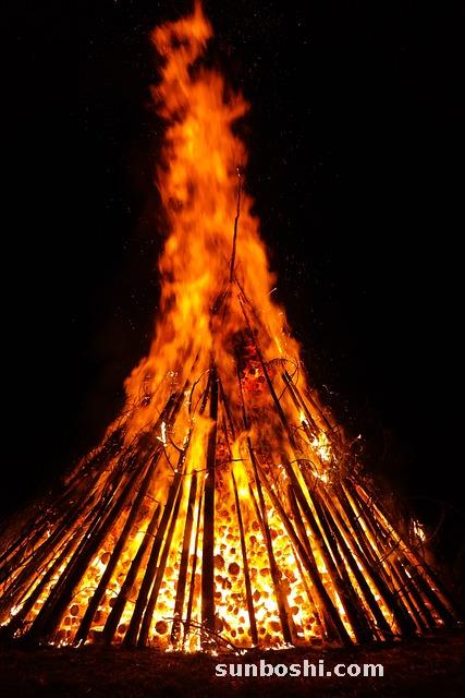 柴胡的功效與作用-小柴胡顆粒-柴胡舒肝丸-北柴胡-柴胡疏肝散