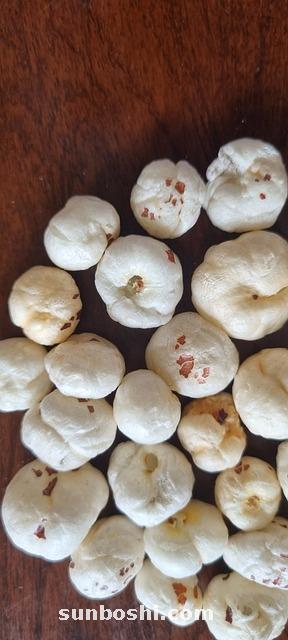 芡實的作用與功效-芡實薏米-薏米芡實-芡實蓮子