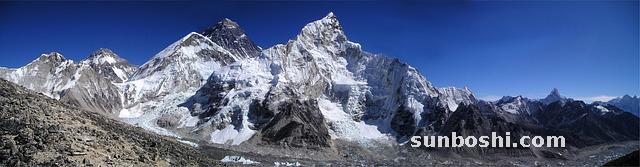 麗珠腸樂的功效與作用