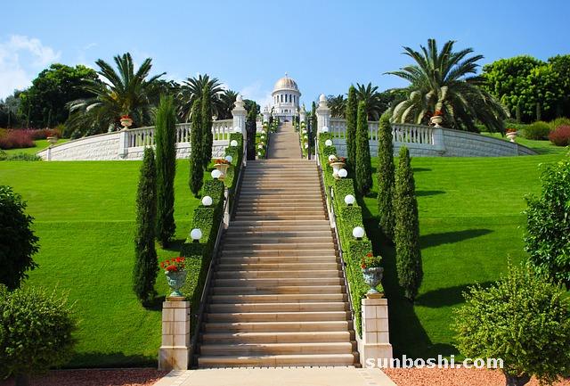 烏梅的功效與作用-烏梅丸-烏梅湯-干烏梅