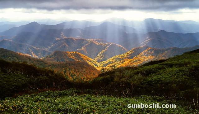 夢(mèng)境解析夢(mèng)見(jiàn)七-頭七-三七-家里亂七八糟-七星-七彩云-田七