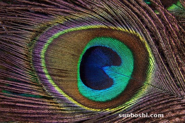 夢見首飾-夢見自己的首飾-夢見首飾丟了