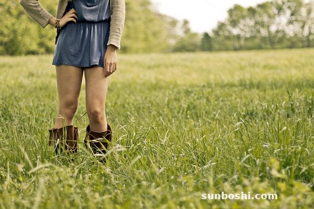 姑娘果的功效與作用-紅姑娘果-黃姑娘果-山姑娘果-苦姑娘果