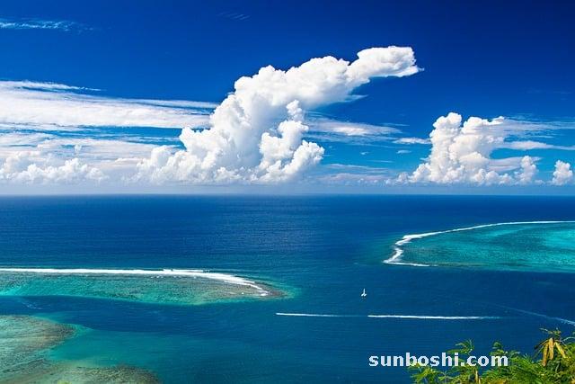 阿莫西林膠囊的作用與功效說(shuō)明書(shū)