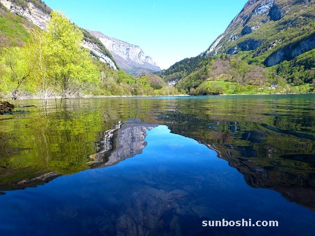 天王補心丸的功效與作用-天王補心丸方解-麥冬天王補心丸