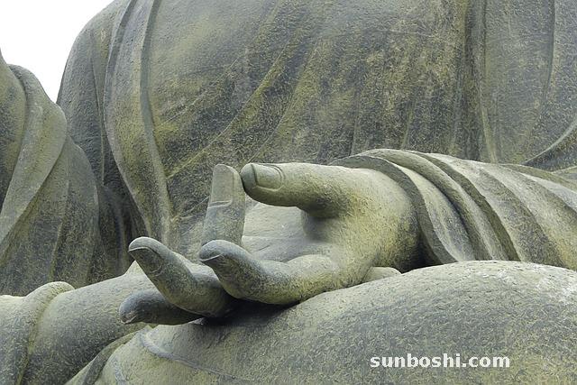 佛手的功效與作用-佛手瓜-佛手果-佛手柑-佛手茶