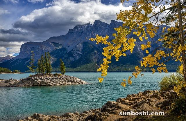 萬艾可的作用與功效-萬艾可在那里賣-萬艾可偉哥