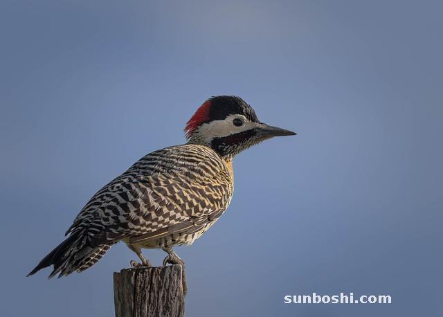 夢見塌陷-夢見房子塌陷-夢見墳墓塌陷