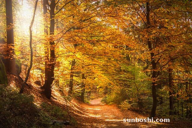 夢見被淹-夢見房子被淹-夢見游泳被淹