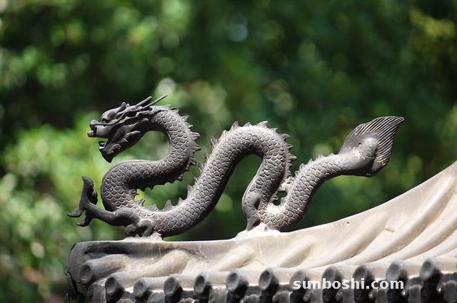 地龍的功效與作用-地龍中藥-中藥地龍-地龍蛋白-地龍骨
