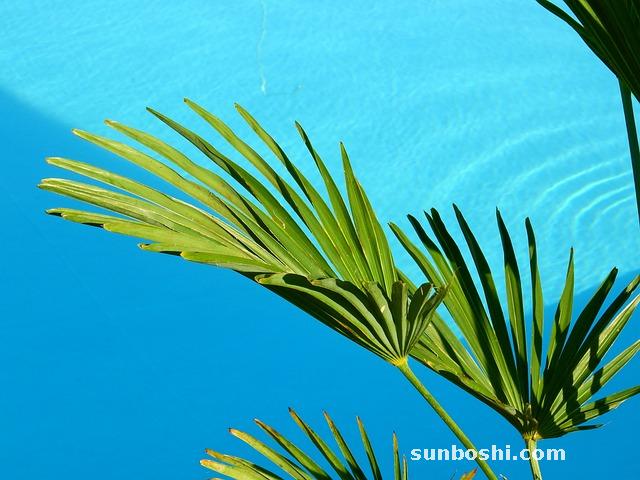 夢見泳池-夢見泳池游泳-夢見游泳池游泳
