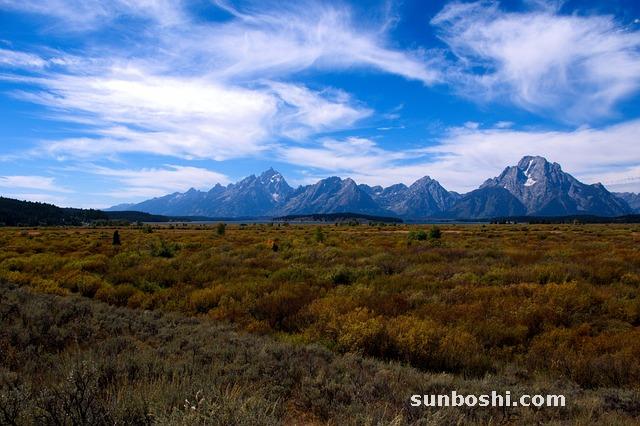 苦蕎米茶的功效與作用