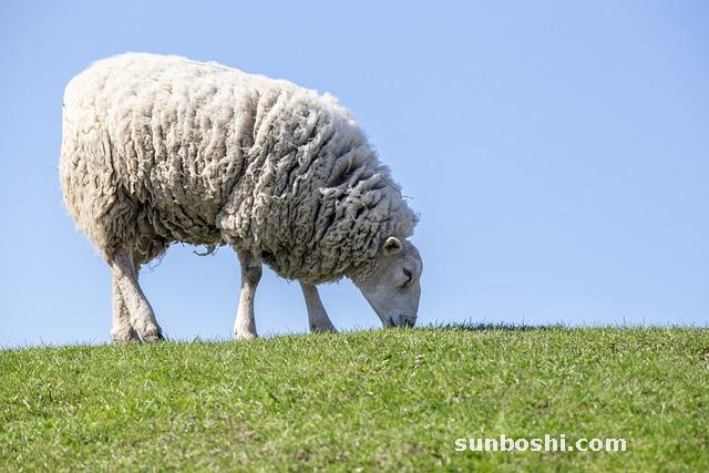 夢見大衣-夢見自己穿大衣-夢見穿軍大衣