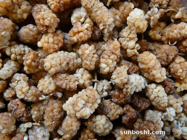 桑白皮的功效與作用-蜜桑白皮-中藥桑白皮-桑白皮湯