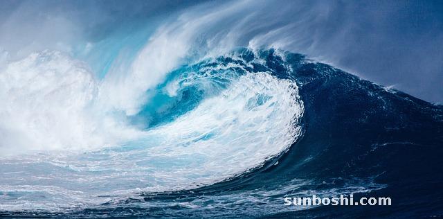 深海魚油的功效與作用-澳洲深海魚油-深海魚油膠囊-深海魚油卵磷脂食用方法-swisse深海魚油