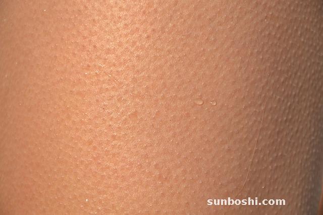 鵝肉的功效與作用-老鵝肉-大鵝肉-吃鵝肉-鵝肉禁