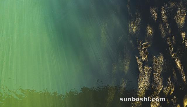 海藻籽面膜的功效與作用