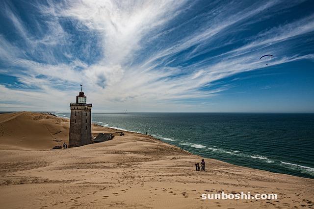 海龍的功效與作用-海龍泡酒-海龍-海龍海馬-海龍魚