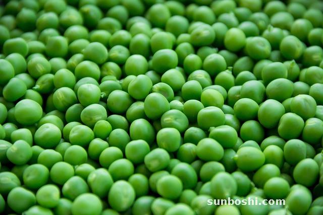 豌豆的功效與作用-炒豌豆-豌豆苗-干豌豆-青豌豆-豌豆粉-豌豆尖