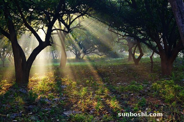 夢境解析夢見師父-出家?guī)煾?寺院的師父-皈依師父-背師父-自己的師父