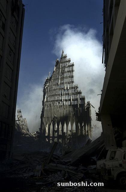 右歸丸的功效與作用-右歸丸和適用人群-右歸丸丸-女性右歸丸-右歸丸