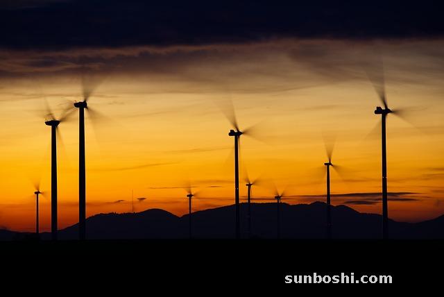 青風藤的功效與作用-中藥青風藤-廣元青風藤-青風藤主-青風藤透骨液