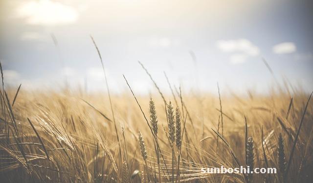 夢(mèng)境解析夢(mèng)見碳-碳火-黑碳-買碳-挖碳-火碳-燒碳-碳-撿碳