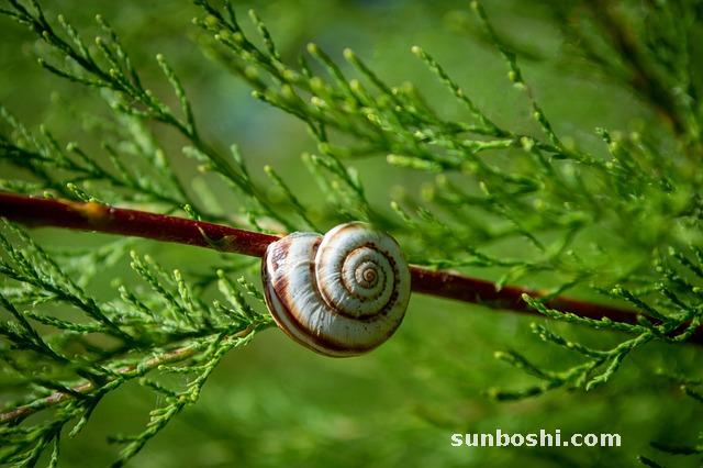 艾條泡腳的功效與作用-艾葉艾條泡腳的功效與作用