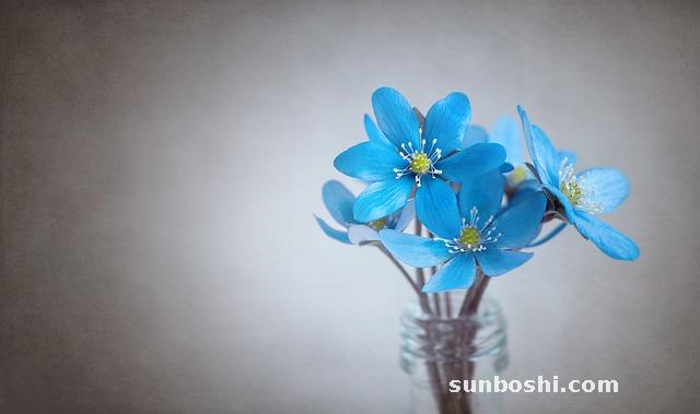 夢(mèng)境解析夢(mèng)見肝-肝臟-吃肝-肝臟被取出-肝-雞肝-肝血-熟豬肝