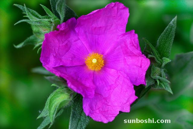 夢見自然-夢見自然災難-夢見自然災害