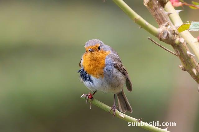 夢境解析夢見自己乳房-自己乳房流血-自己乳房變大-自己乳房有硬塊