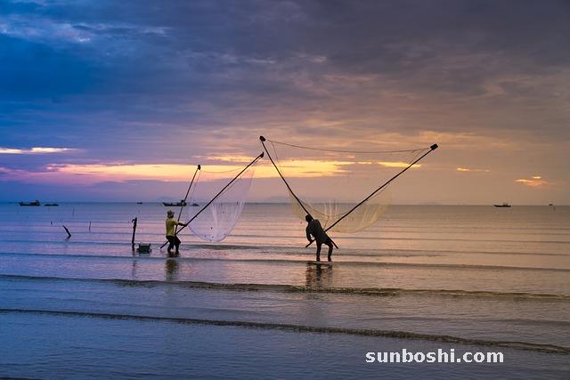 蜆的功效與作用-蜆子的功效與作用-蜆肉的功效與作用