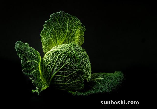 夢見卷心菜-孕婦夢見卷心菜-夢見吃卷心菜
