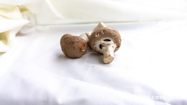 口蘑的功效與作用-蠔油口蘑的功效與作用-口蘑牛扒的功效與作用