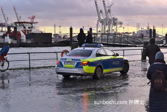 魚泡的功效與作用-娃娃魚泡酒功效與作用-吃魚泡作用與功效