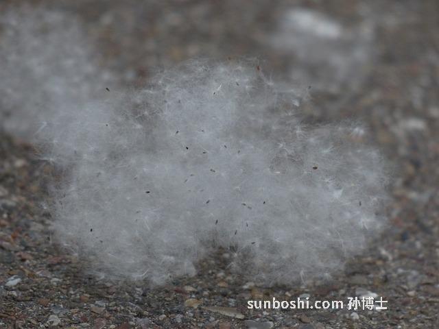 鼻炎片的功效與作用-通竅鼻炎片的功效與作用-膽香鼻炎片的功效與作用