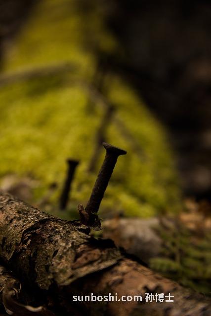 夢見指甲掉了-掉手機-掉糞坑-掉錢-掉肉-掉鞋