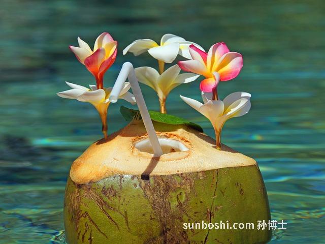 椰子汁的功效與作用-鮮椰子汁-生椰子汁-老椰子汁