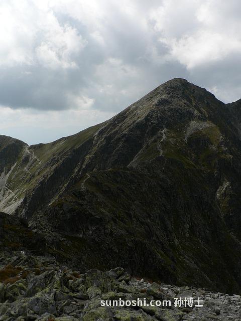 廣藿香的功效與作用-廣藿香點(diǎn)-廣藿香油-廣藿香精油-廣藿香葉