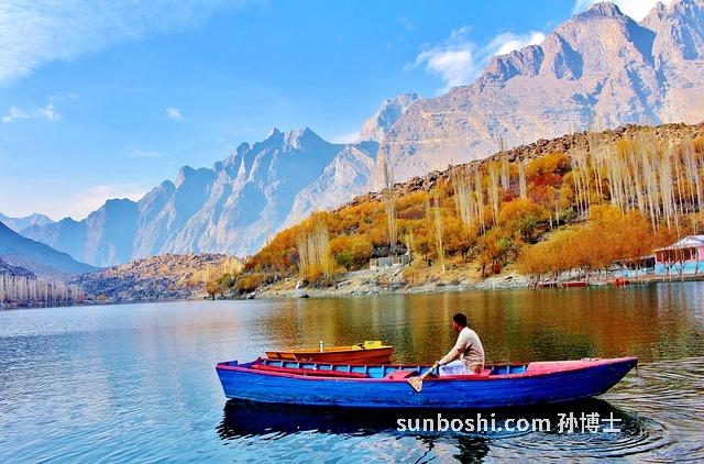 昆侖雪菊的功效與作用價格