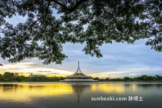 野酸棗核的功效與作用