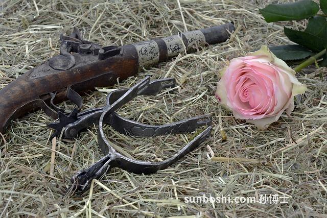 靈之孢子粉功效與作用